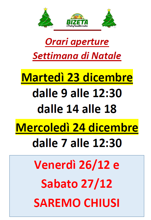 ORARI FESTIVITA' NATALIZIE